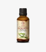 Eucalyptus Essential Oil | GiGisCorner.net